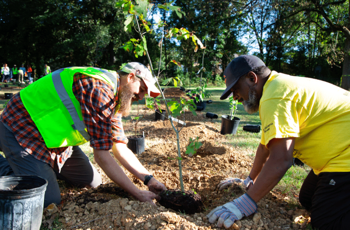 What you can do to protect Alabama’s natural health and beauty – Bham Now