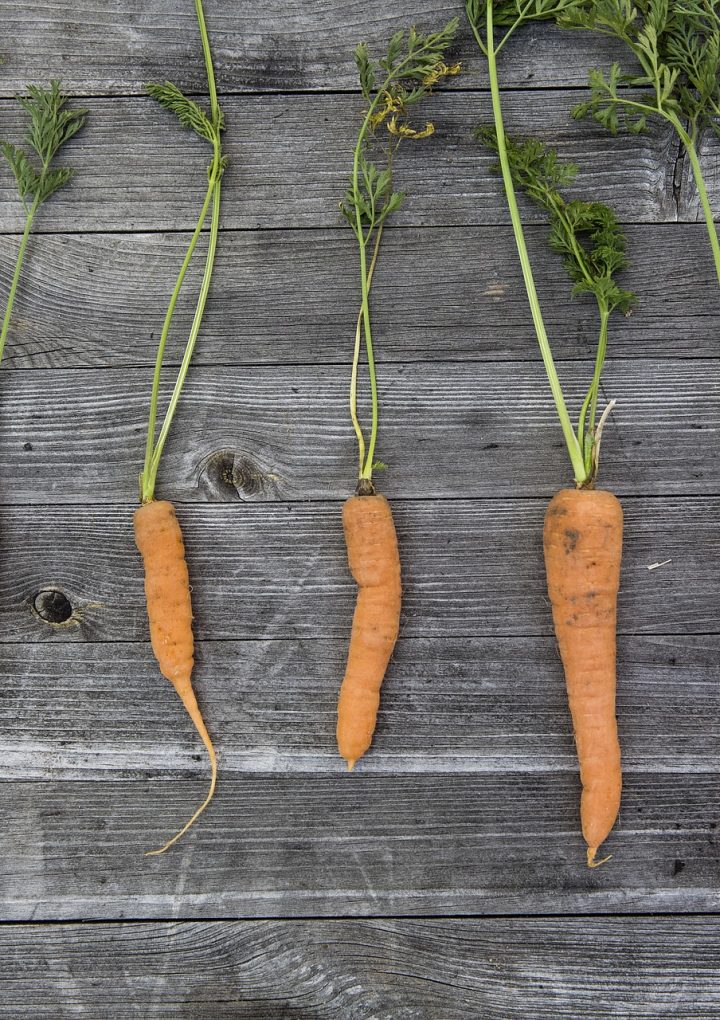 10 Food and Health Documentaries to Stream Right Now on Amazon – One Green Planet