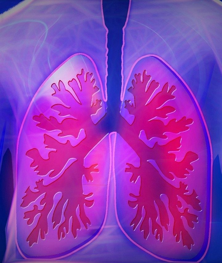 From Breathing Techniques to Recommended Plant-Based Foods: Ways to Boost the Health of Your Lungs Today! – One Green Planet