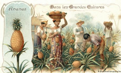 Vitamins are essential in the fight against COVID-19 – DW (English)